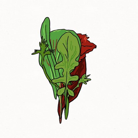 Salad Vegetable GIF by Gunmaunofficial
