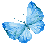 Rainbow Flower Sticker