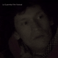 Mood Wtf GIF by La Guarimba Film Festival