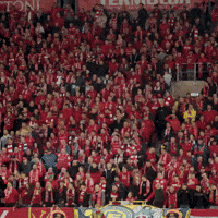 Football Club GIF by Widzew Łódź