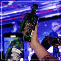Rumbamezcal rebel mezcal artesanal rumba GIF