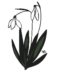 Flower Virag Sticker