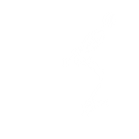 Skating Jay Adams Sticker by Yin Wrong