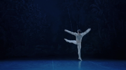 Nutcracker GIF by English National Ballet
