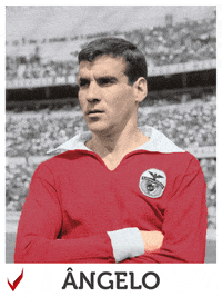 Sl Benfica Angelo GIF by Sport Lisboa e Benfica