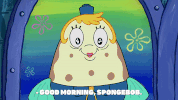 season 9 little yellow book GIF by SpongeBob SquarePants