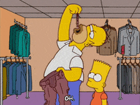 homer simpson episode 3 GIF