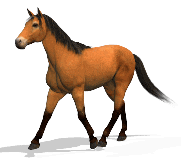 walking horse STICKER