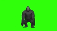 Dance Dancing GIF