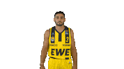 Ewe Baskets Basketball Sticker by EWE Baskets Oldenburg
