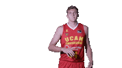 Liga Endesa Basketball Sticker by ACB