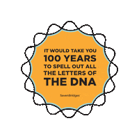 Dna Sb Sticker by SevenBridges
