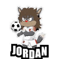 Fifa World Cup Football Sticker