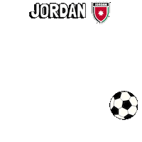 World Cup Football Sticker by Pudgy Penguins