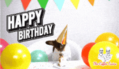 Happy Birthday Cake GIF by The Coffee Twins