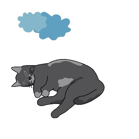 Farinity cat sun weather clouds Sticker