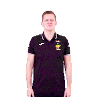 Volleyball No Sticker by PGE Skra Bełchatów