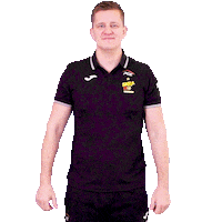 Volleyball Ok Sticker by PGE Skra Bełchatów