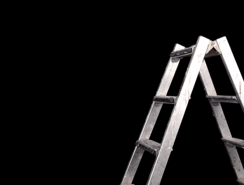 Redknights GIF by Red Knights Tübingen