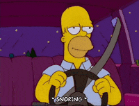 homer simpson GIF