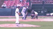 minor league baseball GIF by Kane County Cougars