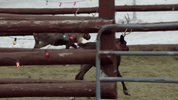 Christmas Movie GIF by Hallmark Mystery