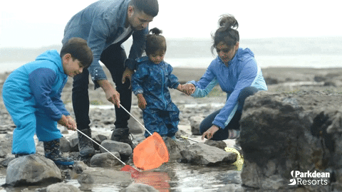 Crabbing Family Time GIF by Parkdean Resorts