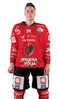 Hockey Hokej Sticker by HDD SIJ Acroni Jesenice