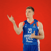 Sport Basketball GIF by Anadolu Efes SK