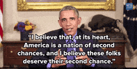 war on drugs news GIF