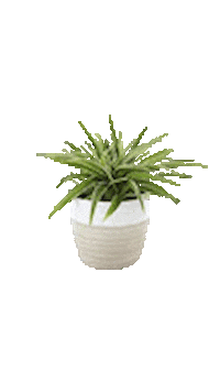 vanangrakshak plant plants van seed Sticker