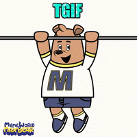 Friday GIF by Meme World of Max Bear
