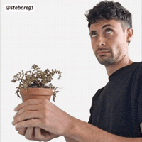Home Oops GIF