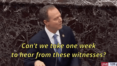 Adam Schiff GIF
