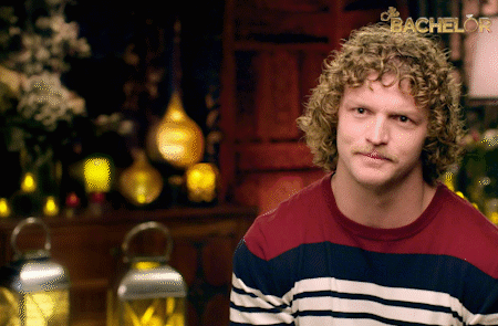 honey badger bachelor au GIF by The Bachelor Australia