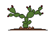 alezmendiola pixelart mexico 8bit desert Sticker