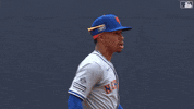 Celebrate London GIF by New York Mets