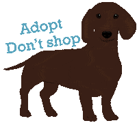 Dachshund Adopt Sticker by HeARTs Speak