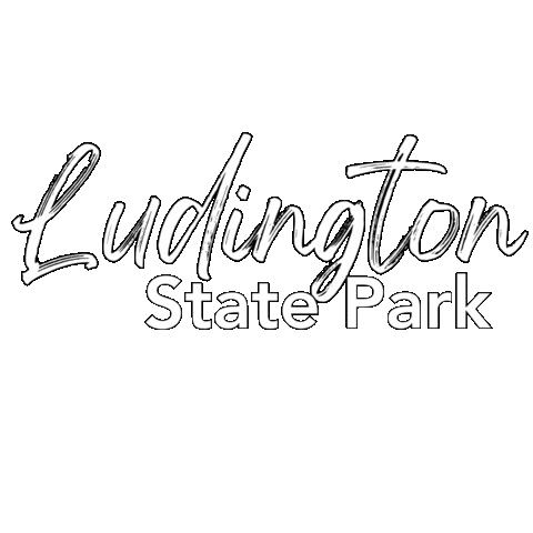 State Park Sticker by State of Michigan