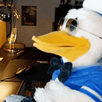 SanPitoPato donald duck pato pato donald san pito pato GIF