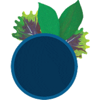 plants meatless Sticker by Dr. Praeger's Purely Sensible Foods