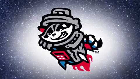 Minor League Baseball GIF by Rocket City Trash Pandas