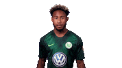 Football Soccer Sticker by VfL Wolfsburg