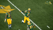 north dakota state bison GIF by NDSU Athletics