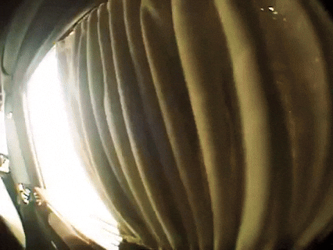 Music Video GIF by Don Toliver