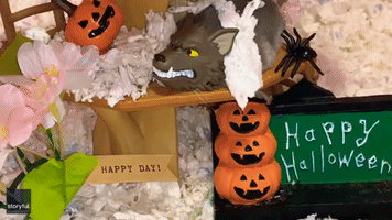 Sleepy Hamster Never Misses a Trick or Treat