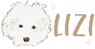 Dog Bichon Sticker