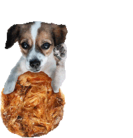 tnt tales Sticker by Tales&Tails