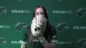 Softball GIF by RiverHawk Sports
