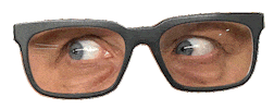 eyes read Sticker